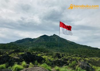 merdeka membaca